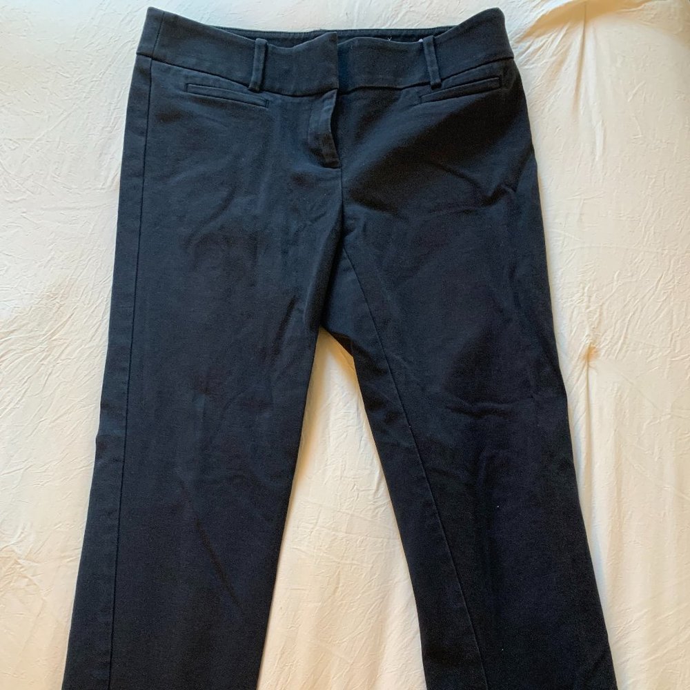 Ann Taylor Loft Work Pants